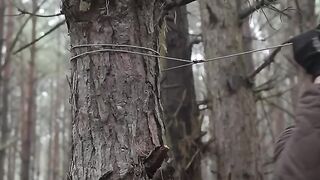 Tiny Dugout building shelter in the woods start to finish