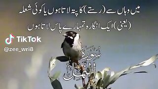 Ramzan 73
