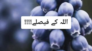 Ramadan 36