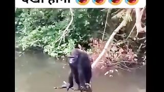 Indian walo ne bi kamal,kr,dia kia,funny,video maza a agya,daikh kr very funny new video