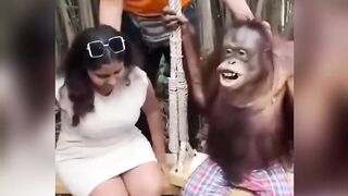 Funny videos hhhhhh