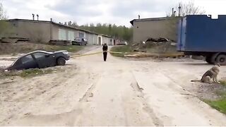 Funny video 512