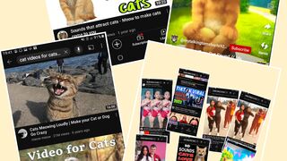 View 2023 Tiktok  video Funny video