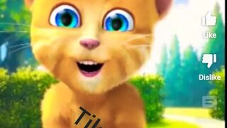 Cooton KitCat funny video tiktok