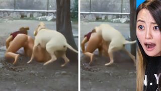 When you present your butt to your dog