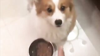 Wait, where did it Go ?!