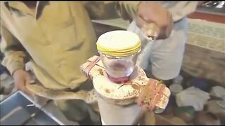 What Venom does to Blood