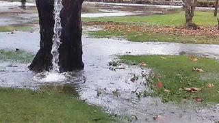MIRACLE IN TURKEY.