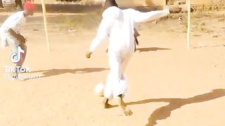 Funny video 513