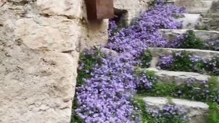 Nature lover beautiful