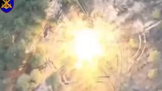 Ukrainain Artillerymen destroy Russian 2A36 Hyacinth-B cannon
