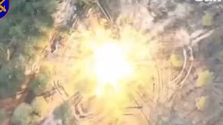 Ukrainian forces destroy Russian artillery field gun 'shelling peaceful villages' In Kherson region