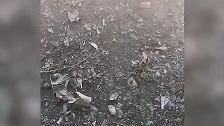 Fails_Of_Life___Random_Resourse__%23052_(360p).mp4