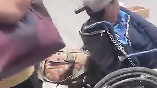 Dog Helps Push Owner