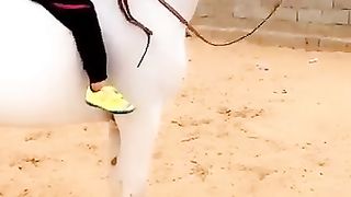 Beautiful Horse 2