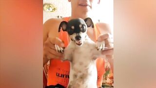 TRY NOT TO LAUGH - Funny Moments of the Week !!!!
