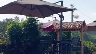 Big Mom's Square Dance (1) It's rare for a mother to be controlled by her son!