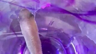 fish video #fishing #funny #comedy #tranding