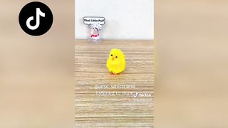 That Little Puff | Tiktok Compilation 2