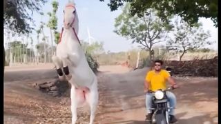 Horse riding 5
