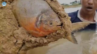 Top 10 Videos Of Fishing Best Satisfaction Hand Fishing Video River Big Fish Catching