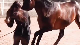 Horse dance 2