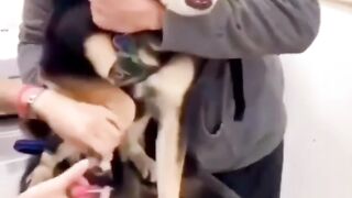 Vdeo.org.hr