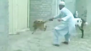 So funny 7