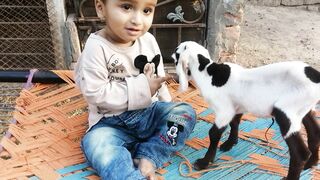 Baby with goat baby
