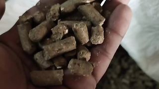 गाय/भेंस का दूध बढ़ाने के लिए