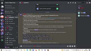 Compilation de chat illarent !