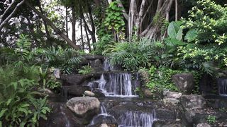 Natur 2