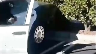 Hari apes?