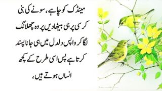 Most beautiful  urdu Quotes .  best collection urdu  Quotes
