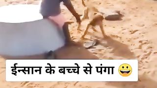 30 second funny video short funny video _zili video_original zili_