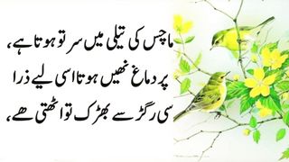 Golden word Most beautiful urdu Quotes #urdu 2
