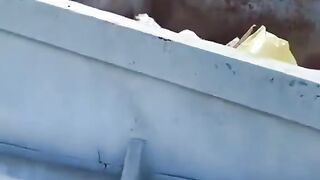 CAT IN PROBLEM.