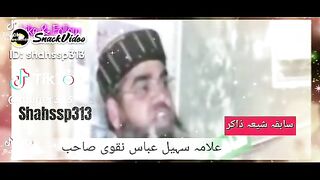 علامہ سہیل عباس نقوی