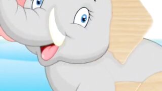 Animals videos 12