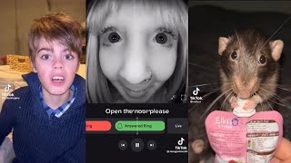 THE FUNNIEST TIKTOK MEMES Of APRIL 2023