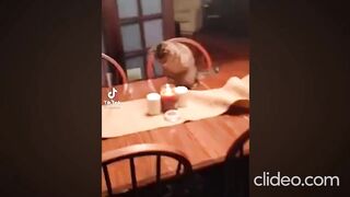 Try Not To Laugh Challenge - FUNNIEST TIKTOK MEMES MARCH 2023