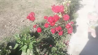 amazing nature 2