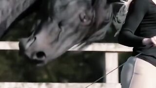 Horse gril #grilhorseriding