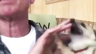 funny short 2