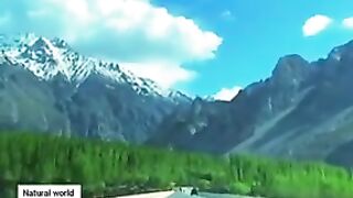 Hunza beaty