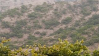 nature 10