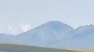 Dasiy gilgit astore