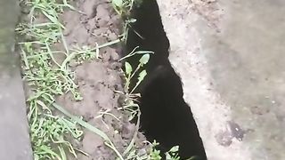 КАПАН ЗА КЪРТИЦИ