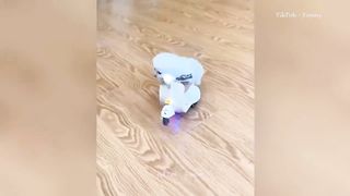 Best Funny Dogs And Cats Videos ???? - Funniest Animals Videos 2023???? #18