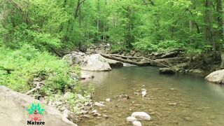 Relaxing music soothing music with beautiful nature scene video